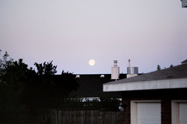 01640036